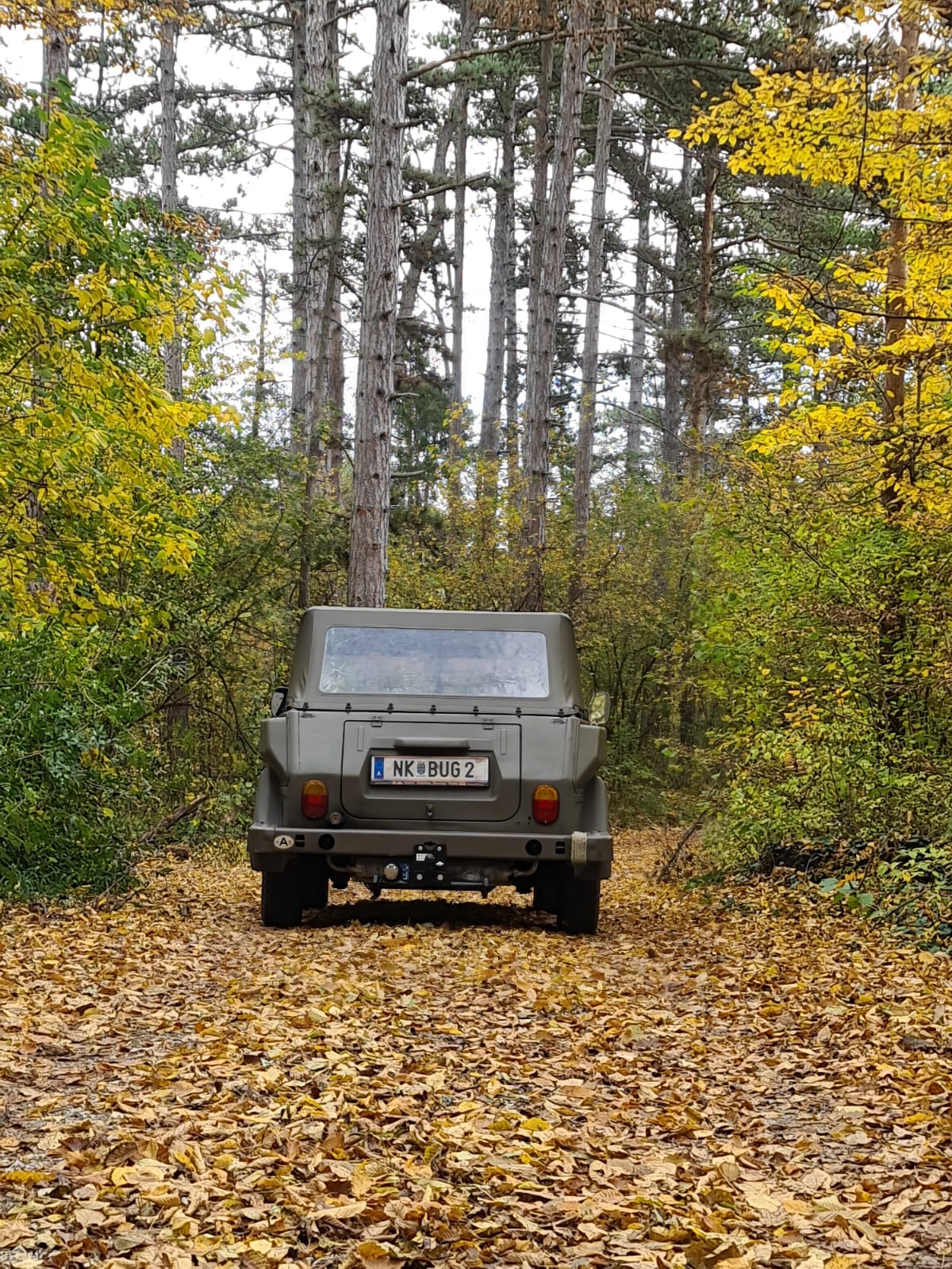 VW 181-e.jpg